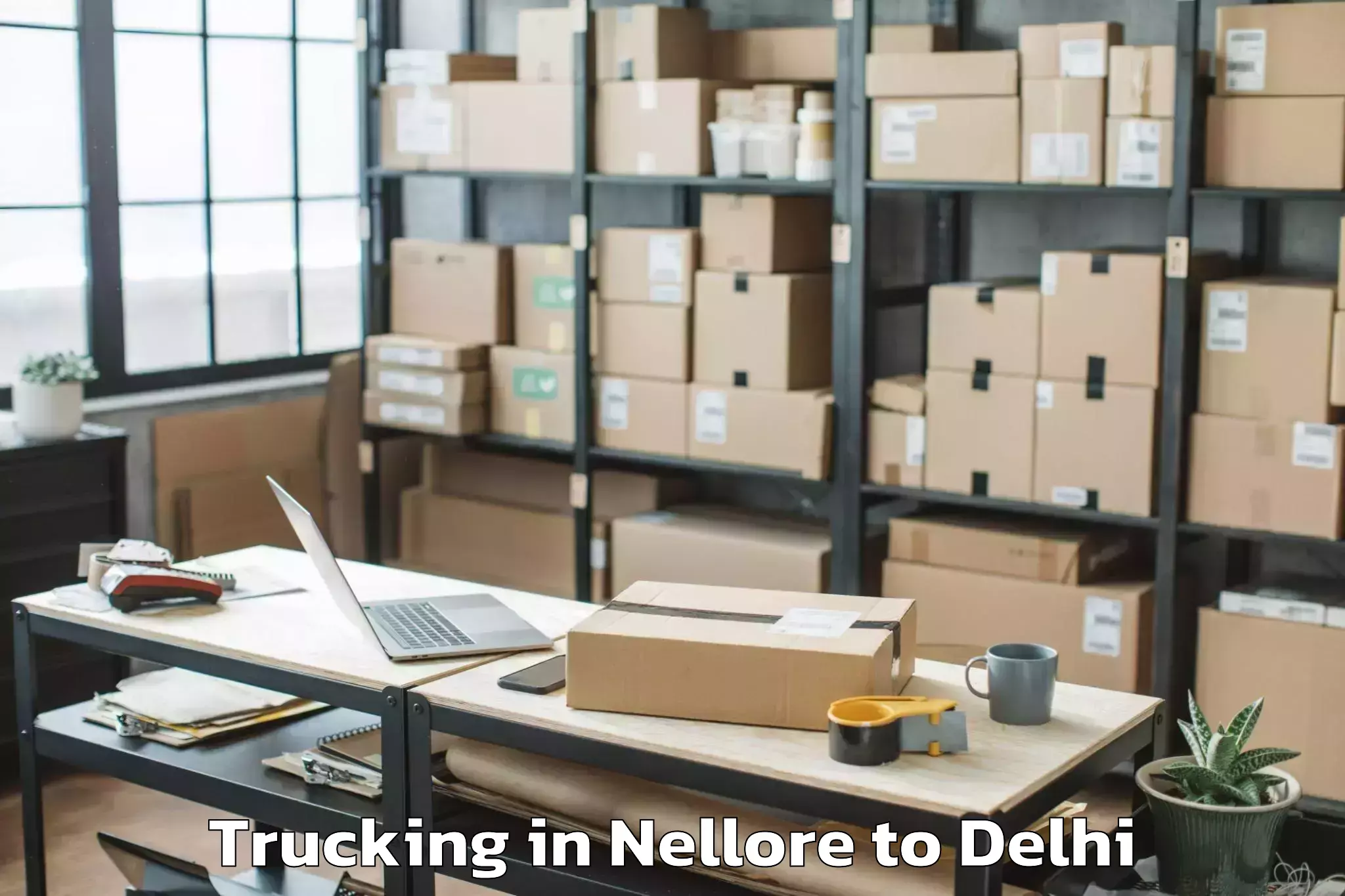 Professional Nellore to Naraina Industrial Estate Trucking